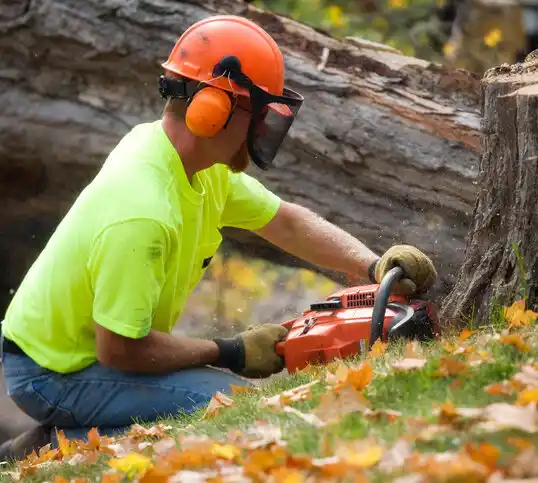 tree services Prior Lake